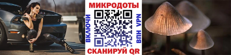 гидра tor  Кировск  Псилоцибиновые грибы Psilocybine cubensis 